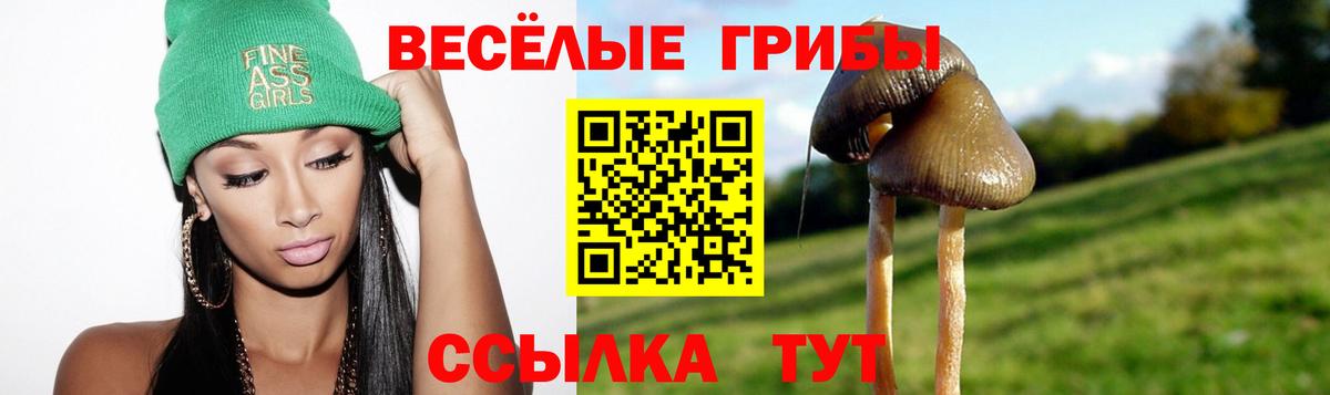 Псилоцибиновые грибы мухоморы  Псилоцибиновые грибы Psilocybe  Вход с VPN  Новоалтайск 